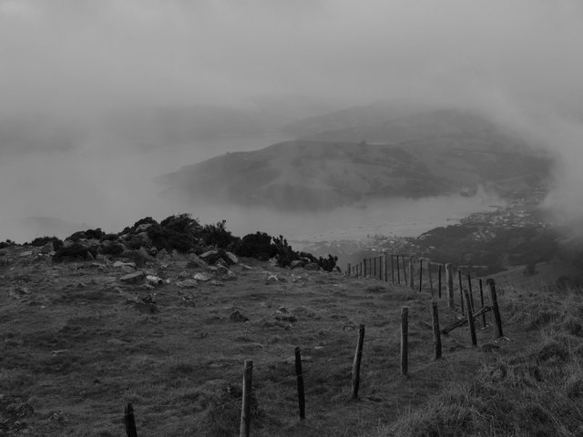 DSCF3414.jpg