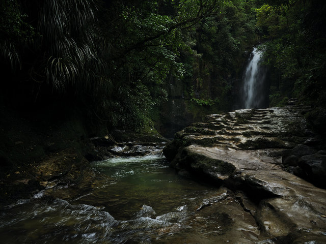 DSCF8438.jpg