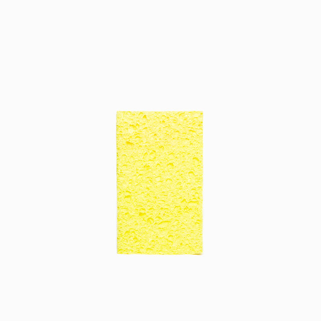 2016-4-Sponge.jpg