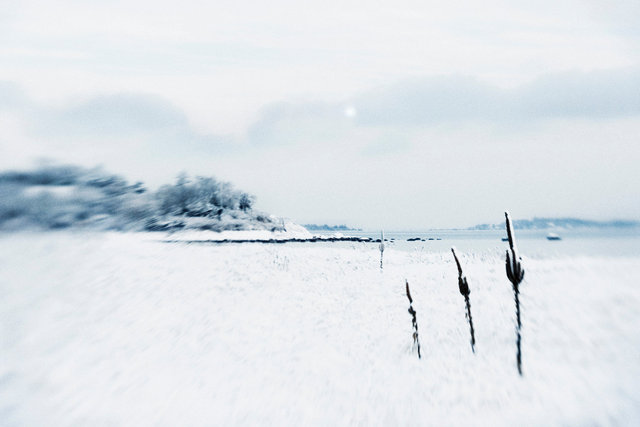 Silence of the Snow