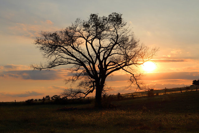 Sunset, southern Ohio