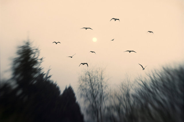 Dark Smiles In The Sky