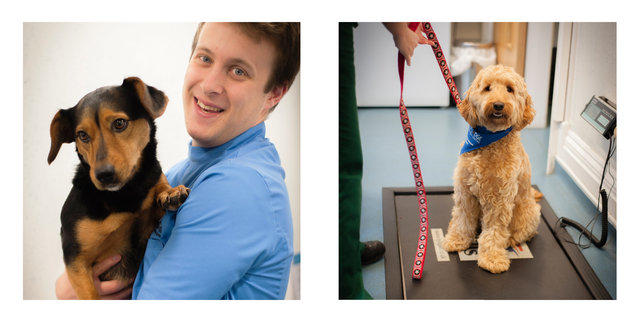Nick John Lord veterinary photography