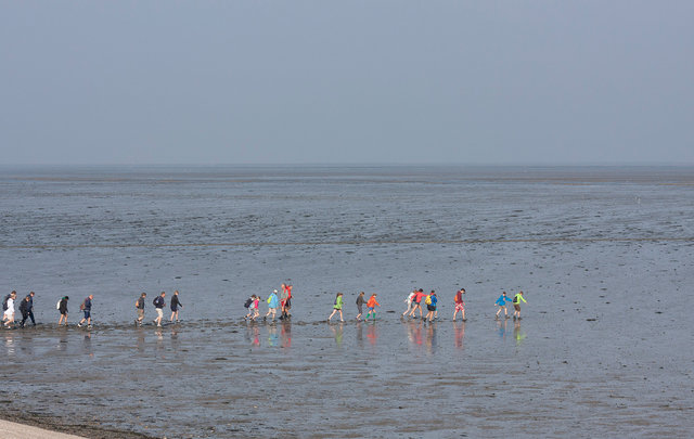 Mudflat hiking