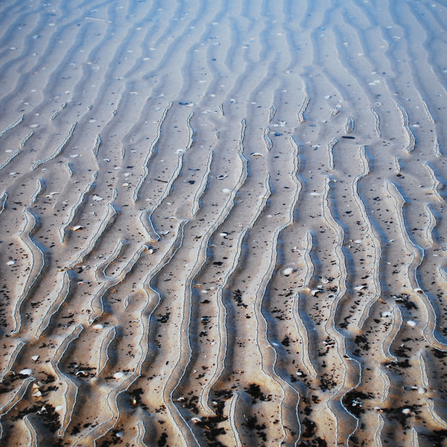 net boven water stiksteek.jpg