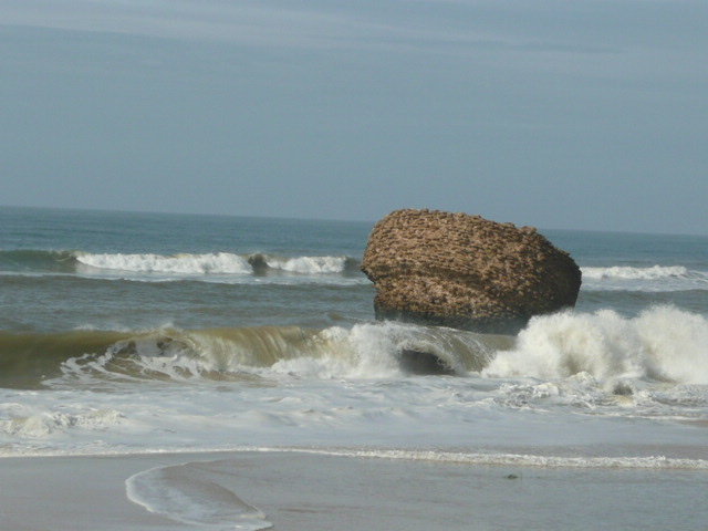 Plage de Torre del Oro,  Huelva - fév. 2014