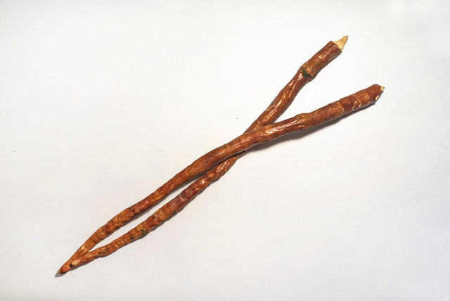 灵芝草 or 鹿角灵芝 (Lu Jiao Ling Zhi)