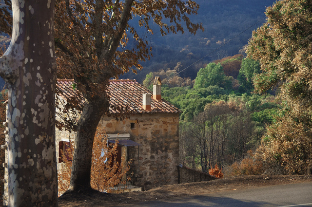 Depuis le "petit train", août 2009