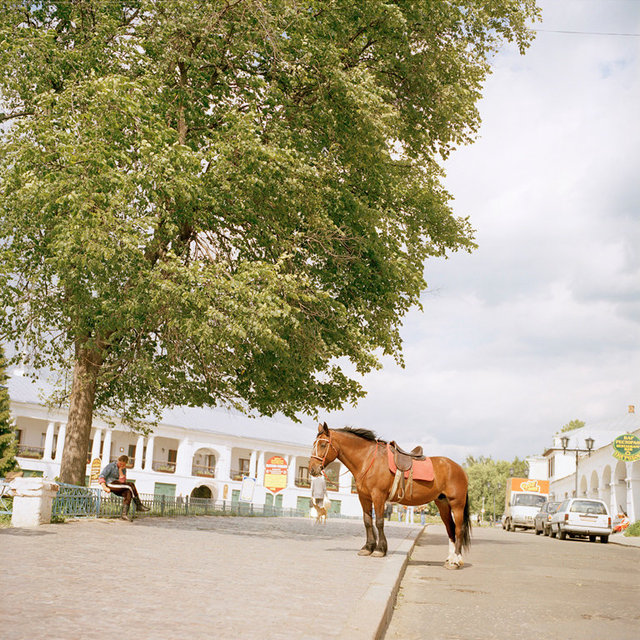 5_Rozovsky_Horse.jpg