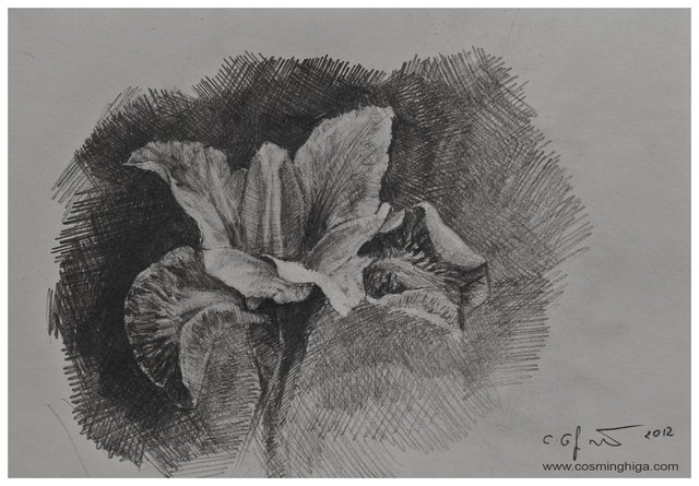 004flower.jpg