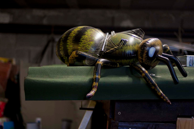 MESNAGE-naturama-2011-21.jpg
