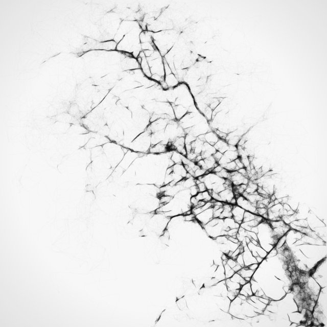 Trees 01
