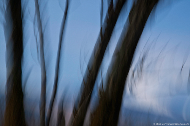 emoriya_homelandscape_web_Trace_of_endless_possibilities.jpg