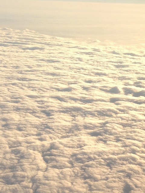 Head in the Clouds