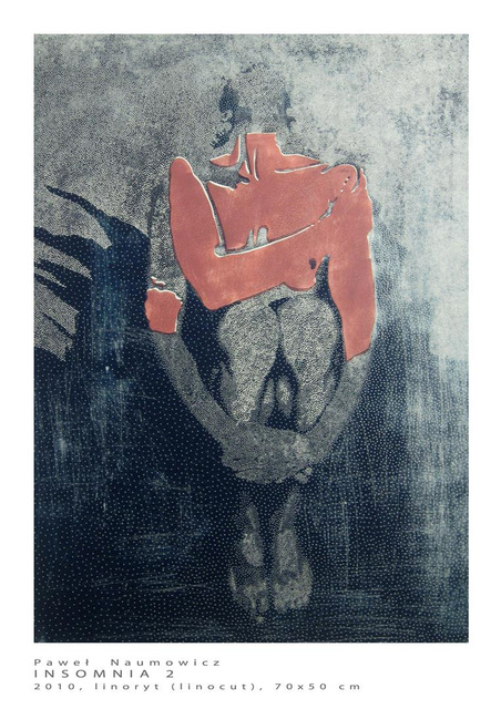 Insomia 2 50x70