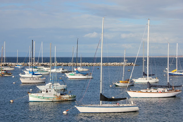 Boats in te Harbor  