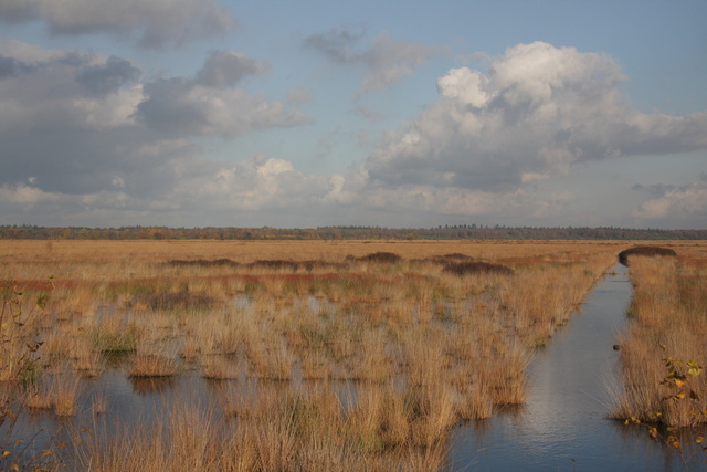 Fochteloerveen