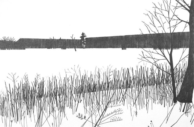 Lake 3, 2011, graphite on paper, 7 x 10"
