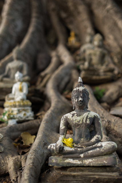 Buddha - Thailand