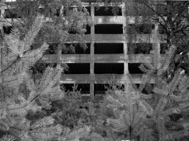 PRORA