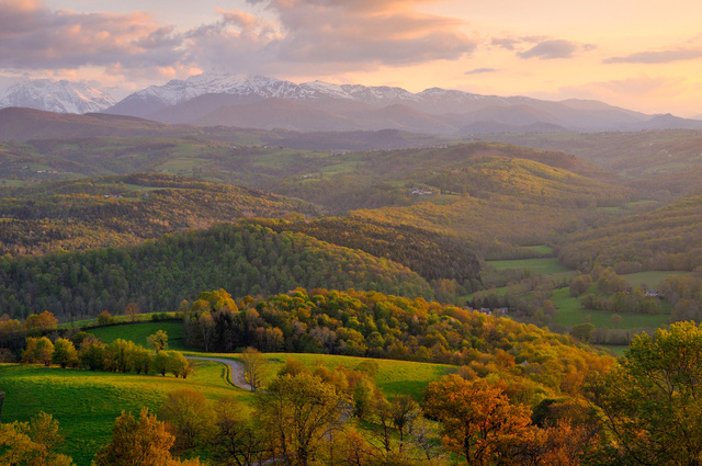 Les Baronnies au pied des Pyrénées, 2008
