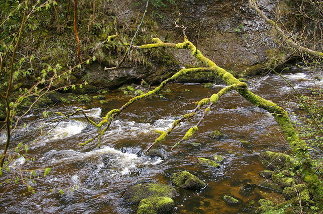 Ingleton Waterfall Trail Swilla Glen (11) VB.JPG