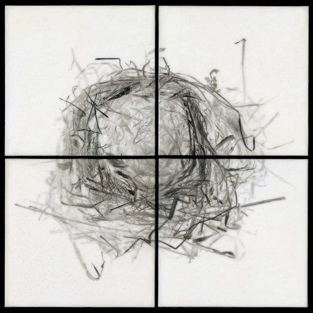 Nest XIII