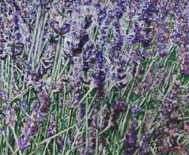 Garden 2 50x60 akryl płótno 2015