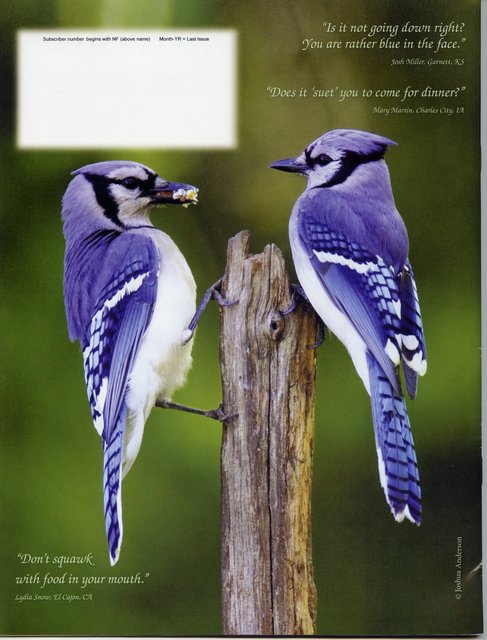 Nature Friend Magazine (back cover); © March 2013