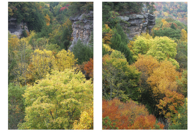 Conkle's Hollow, Ohio