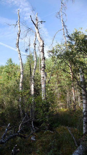 _MG_7310.jpg
