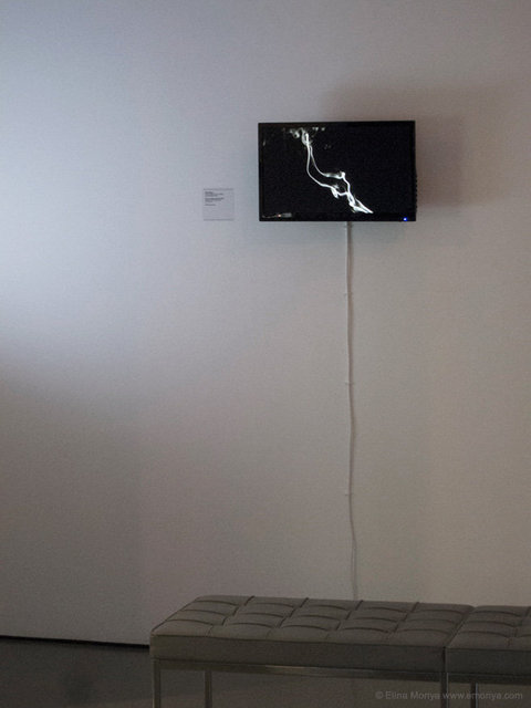 Memory In Metamorphosis (2013)