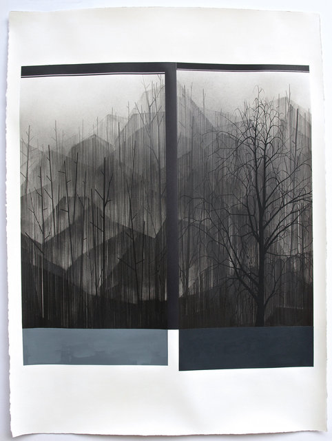 Junction, 2015, graphite, gouache and acrylic on paper, 30 x 22 ½ "