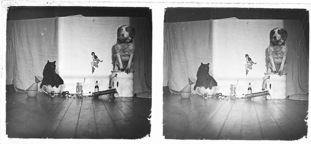 sabine villiard-la derniere gardienne-Nice Verdon ledoux-08.jpeg