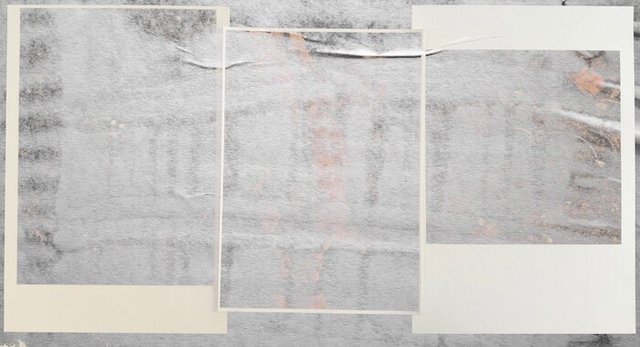 Sabine Villiard, Silver and Soil #5, 2024