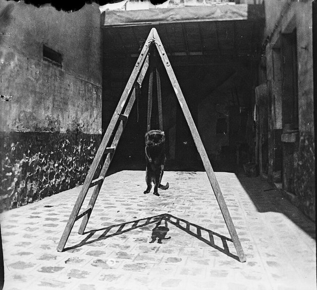 sabine villiard-la derniere gardienne-paul villiard-neg stéréo-09.jpg