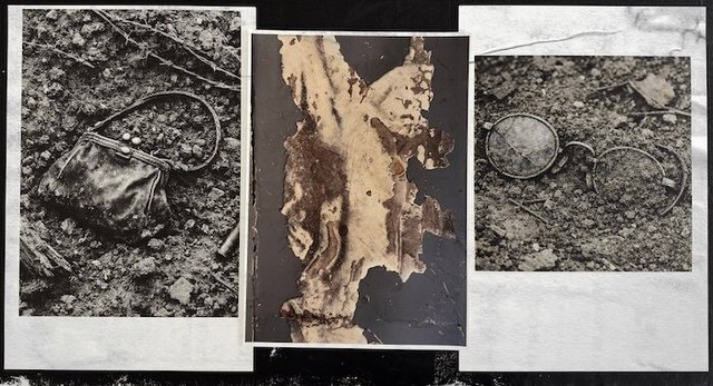 Sabine Villiard, Silver and Soil #4, 2024