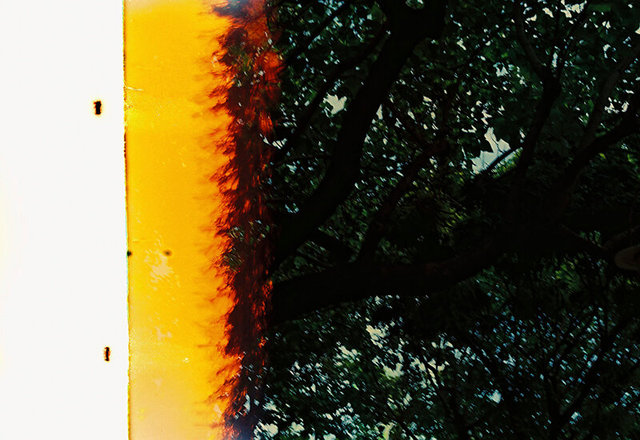 Failed images #3, The pattern