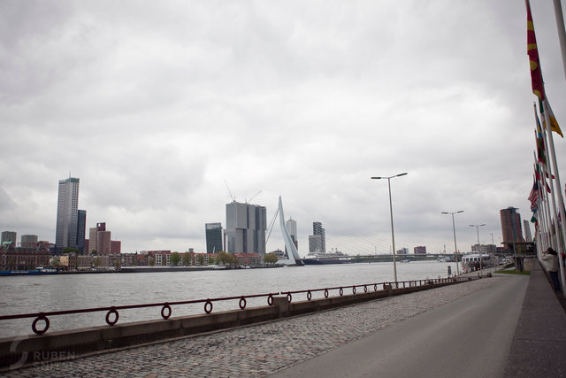 _MG_8977.jpg