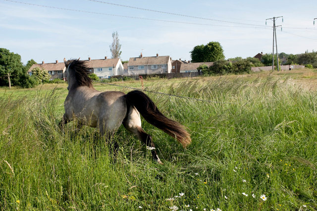 DSCF4349.jpg