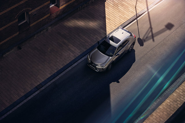 UX250h_DET_MY19_EU_08 copy.jpg