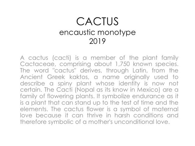 13. Cactus.jpg