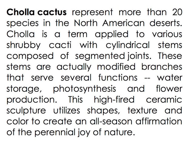 Cholla Cactus 20 .jpg