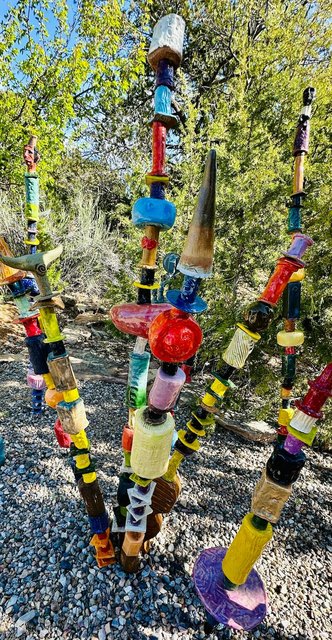 Cholla cactus represent more than 20 species in the North American deserts