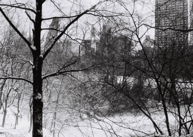 FebruaryWalking_Version2_SinglePagesNeu24.jpg