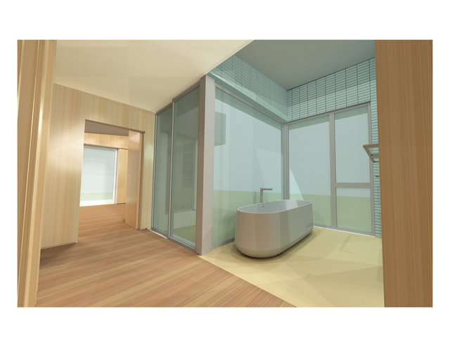 Temple Hill Addition - Primary Bath