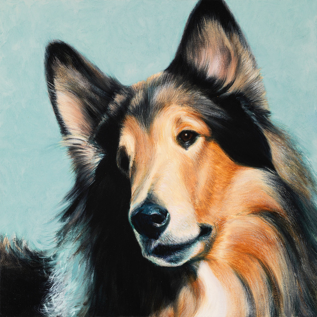 Breed: Collie / "Lance"