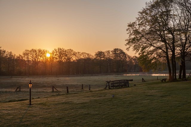 _MG_5035.jpg