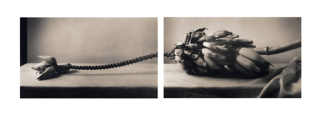 Bananas (Diptych)