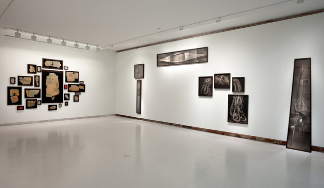 Installation View, Arthur Roger Gallery, 2013